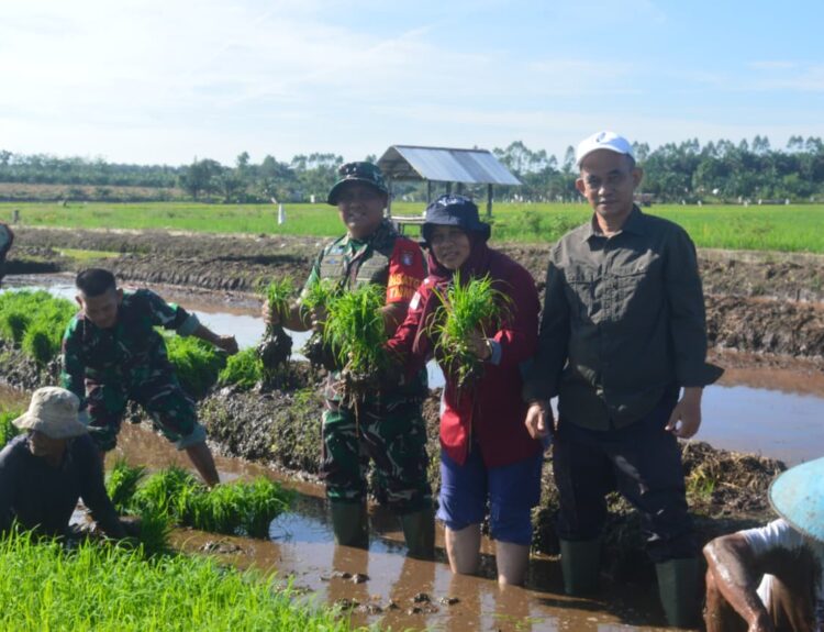 Dandim 1014/Pbn Letkol Inf Makin S.Sos., M.I.P. bersama Kabid PSP Ibu Noreti, Kabid Tanaman Pangan Bapak H. Iskandar
