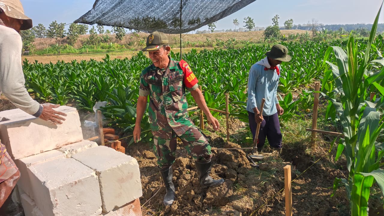 Upaya Babinsa Sertu Muin dan Komunitas dalam Pembangunan Tandon Air Irigasi untuk Petani Jagung