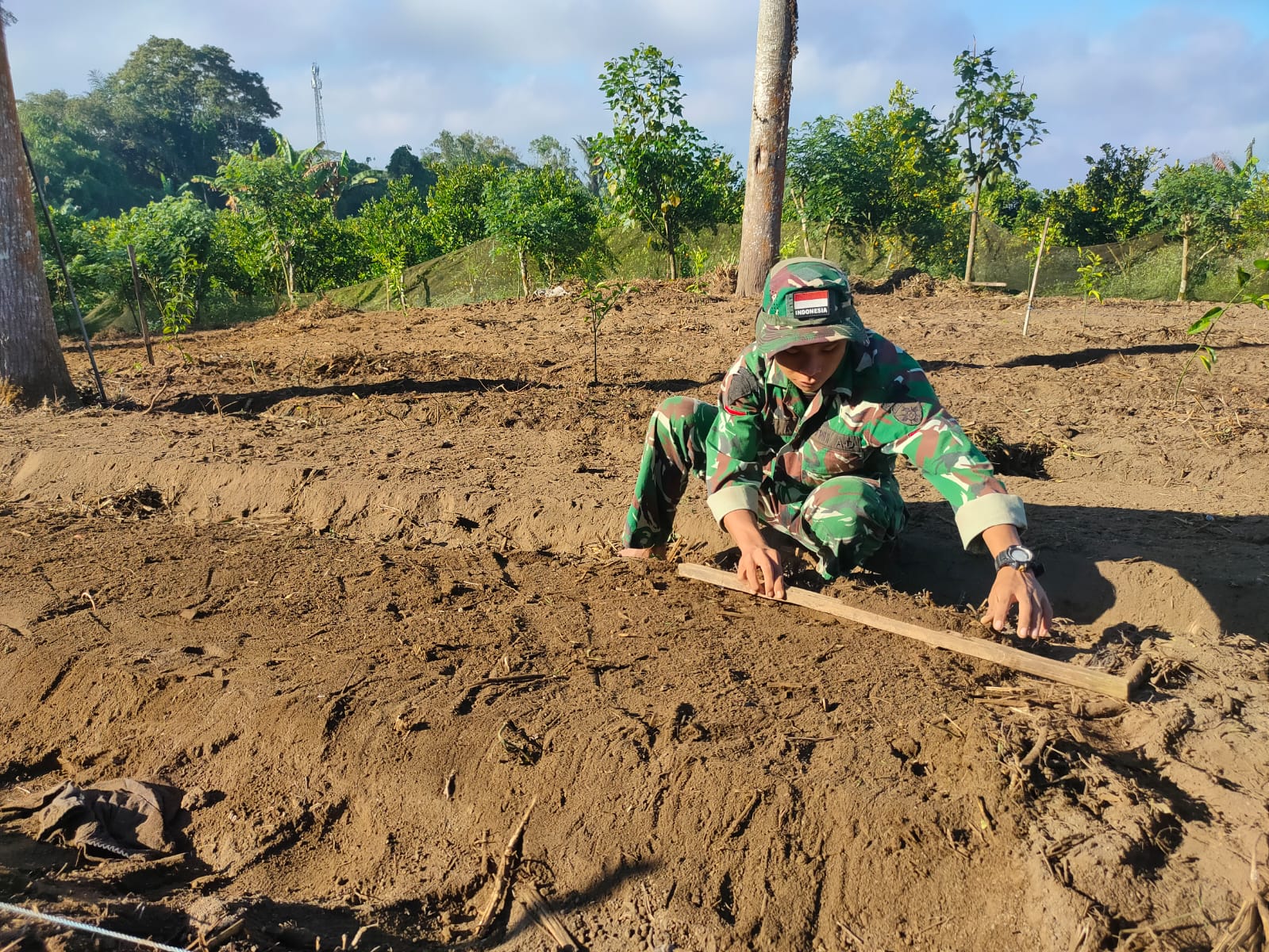 Inisiatif TNI untuk Penguatan Pertanian di Desa Sekardadi: Bedengan Pakcoy Tercipta