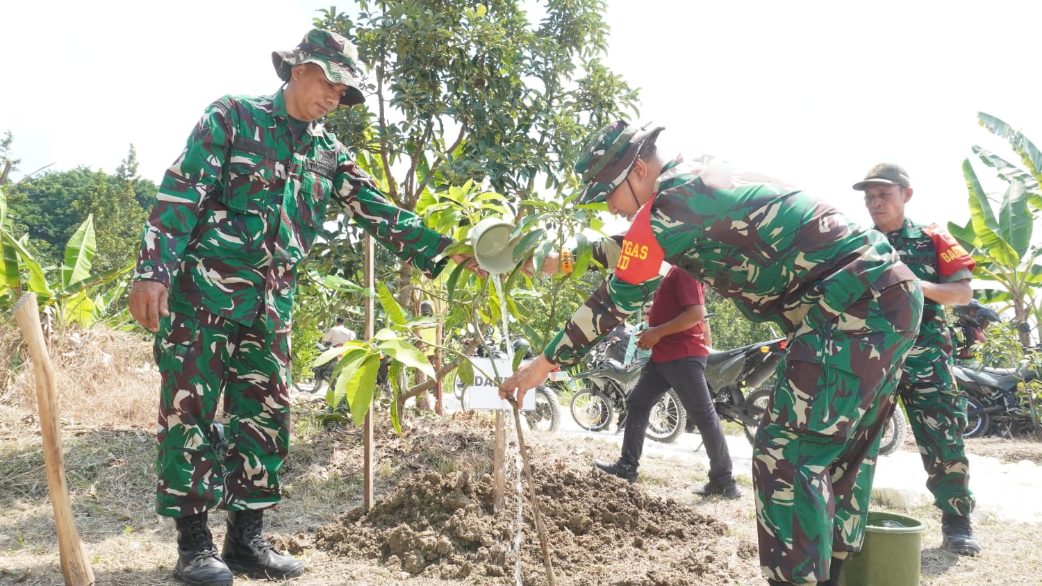 Aksi Lingkungan dan Ekonomi, Pemimpin Lamongan Tanam Pohon Buah di Lokasi Lapangan Voli