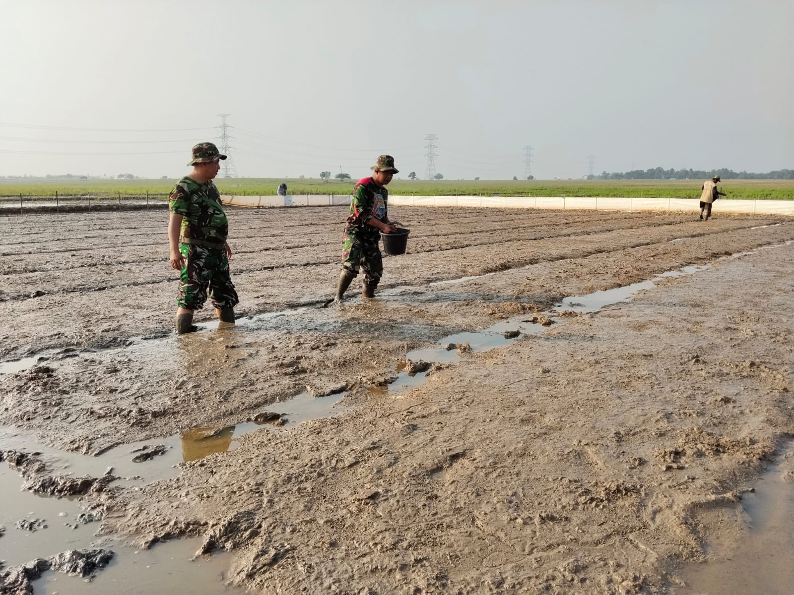 Kodim 0620/Kab. Cirebon Luncurkan Pembibitan Padi dalam TMMD ke-129 untuk Mendorong Ketahanan Pangan