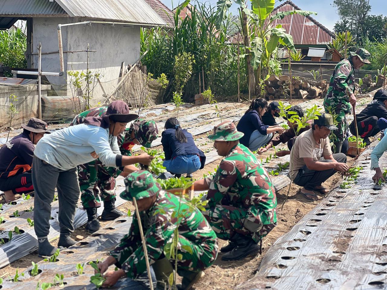 Peninjauan Program Ketahanan Pangan TMMD Ke-129 di Desa Sekardadi