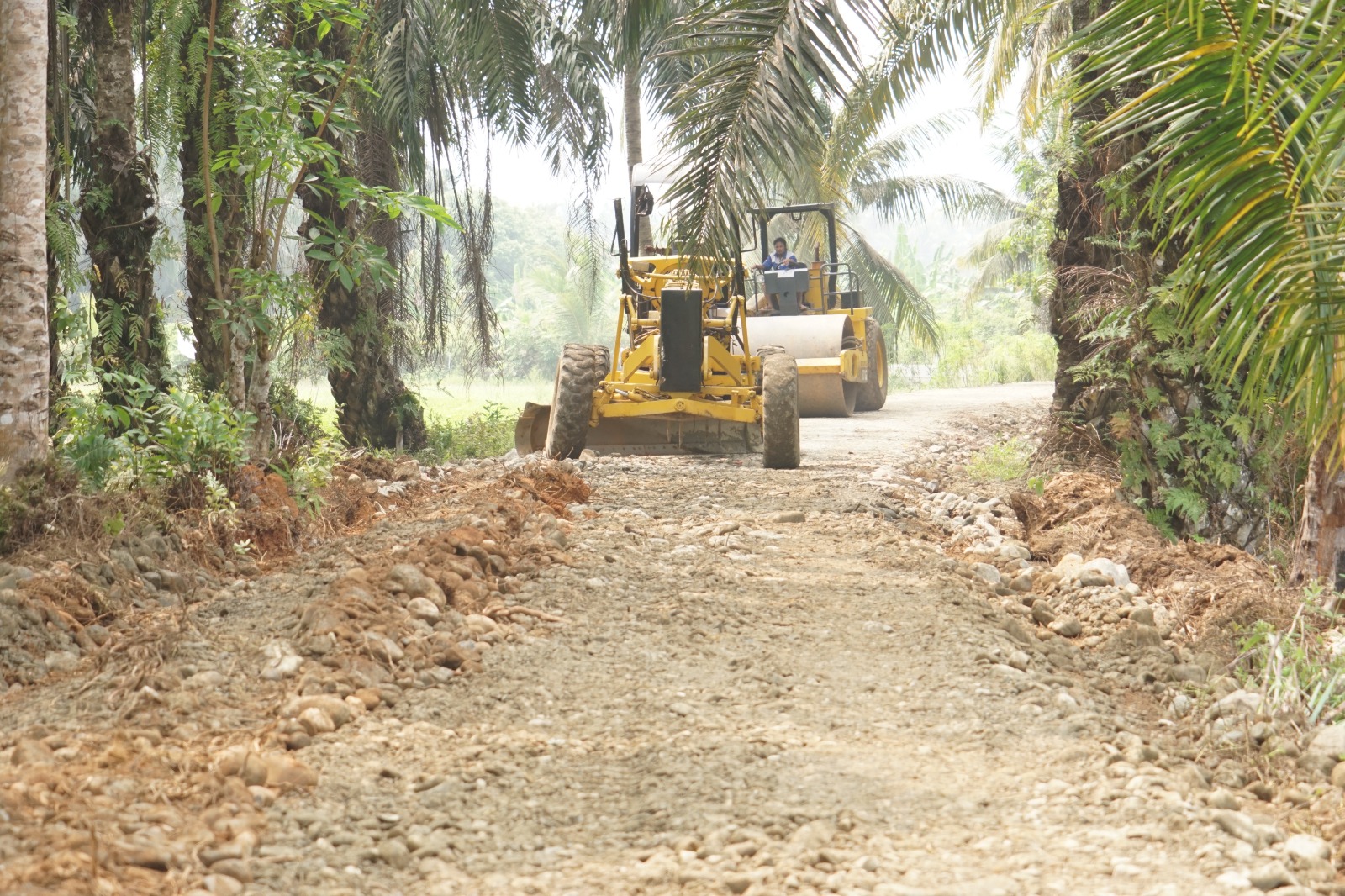 TMMD ke-130: Membangun Infrastruktur untuk Kesejahteraan Ekonomi Kandang Limun